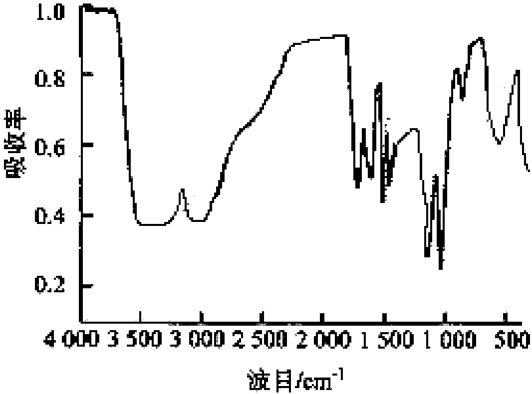 Composite microbial agent and application thereof to generation of fulvic acid by fermentation of brown coal with humic acid