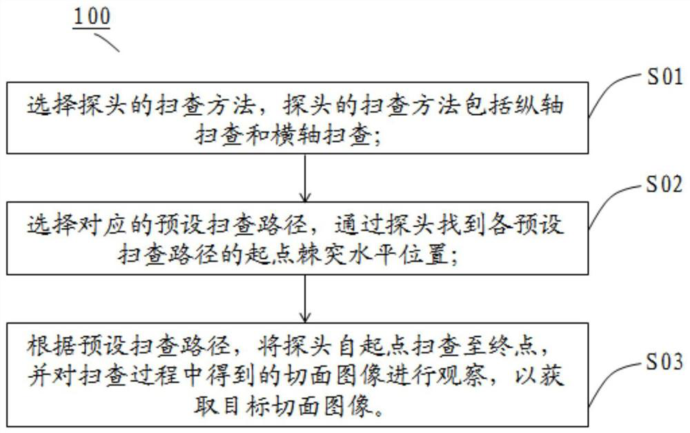 Chest spine ultrasonic scanning teaching method