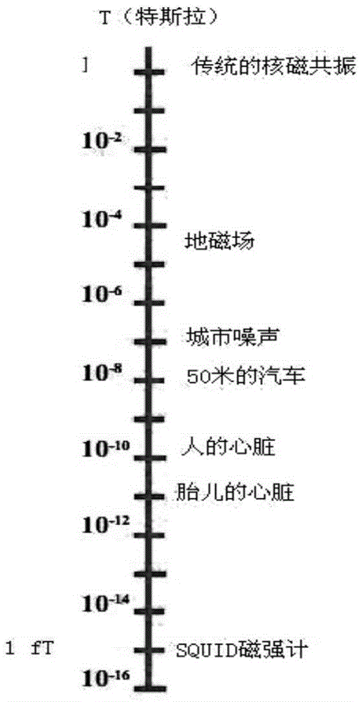 Unshielded magnetocardiograph