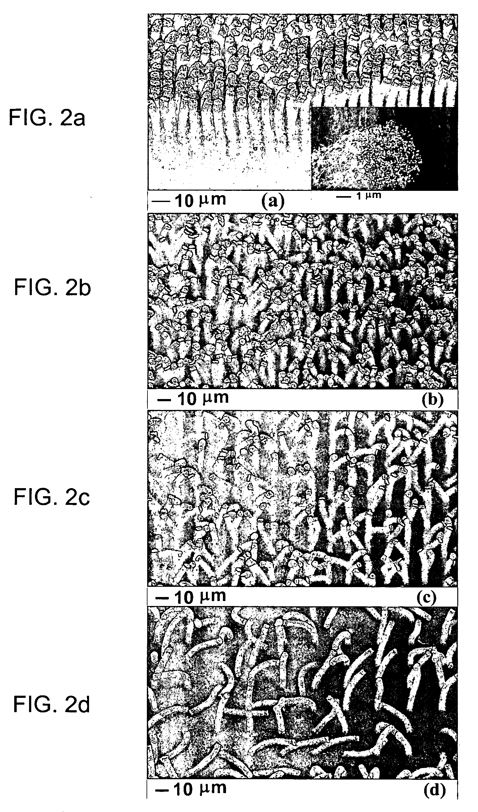 Carbon nanotube high-current-density field emitters