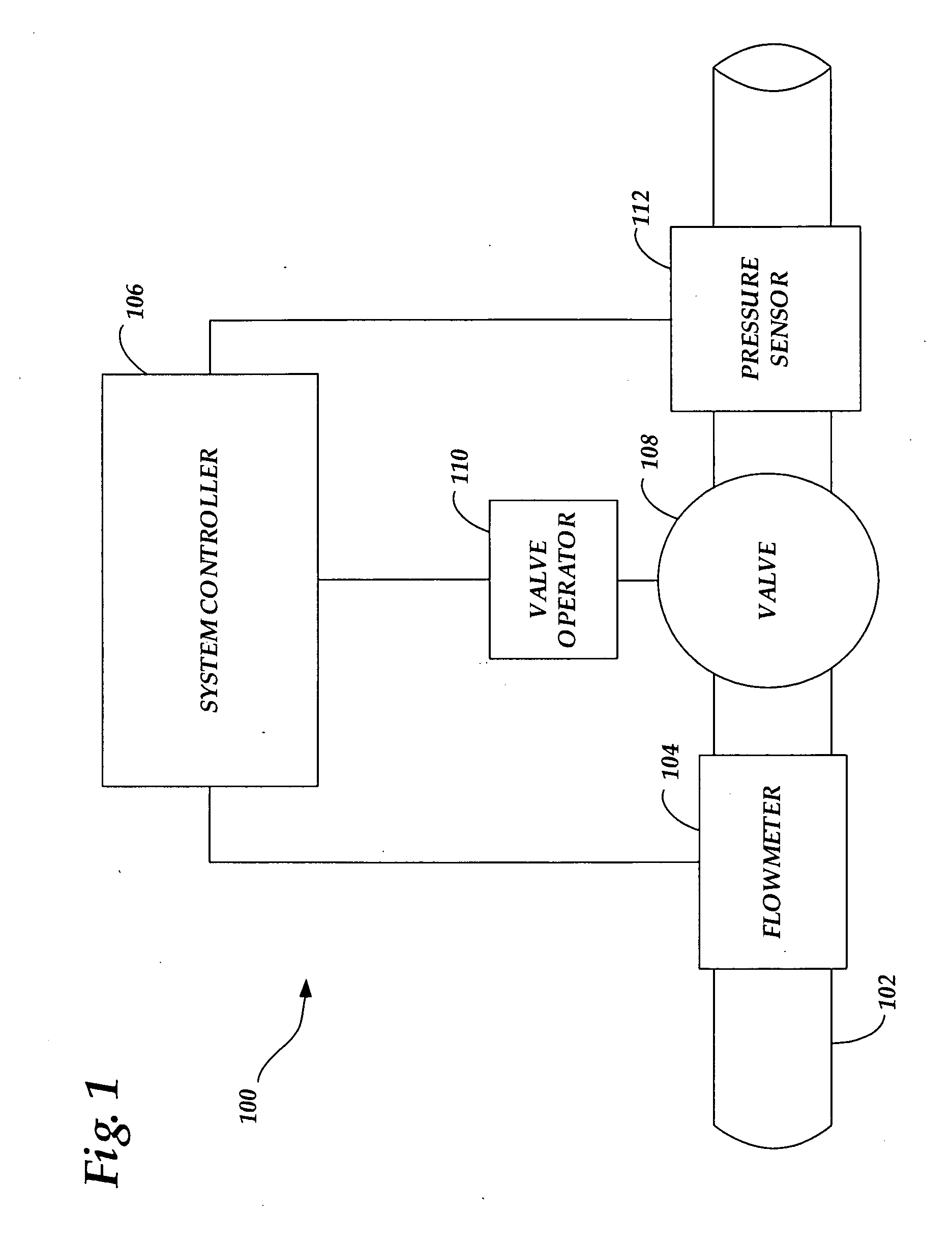 System and method for detecting and preventing fluid leaks