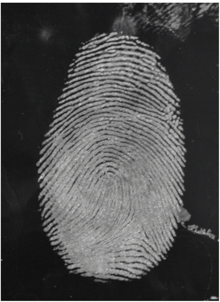 Two-step latent fingerprint manifesting method based on nano-particles