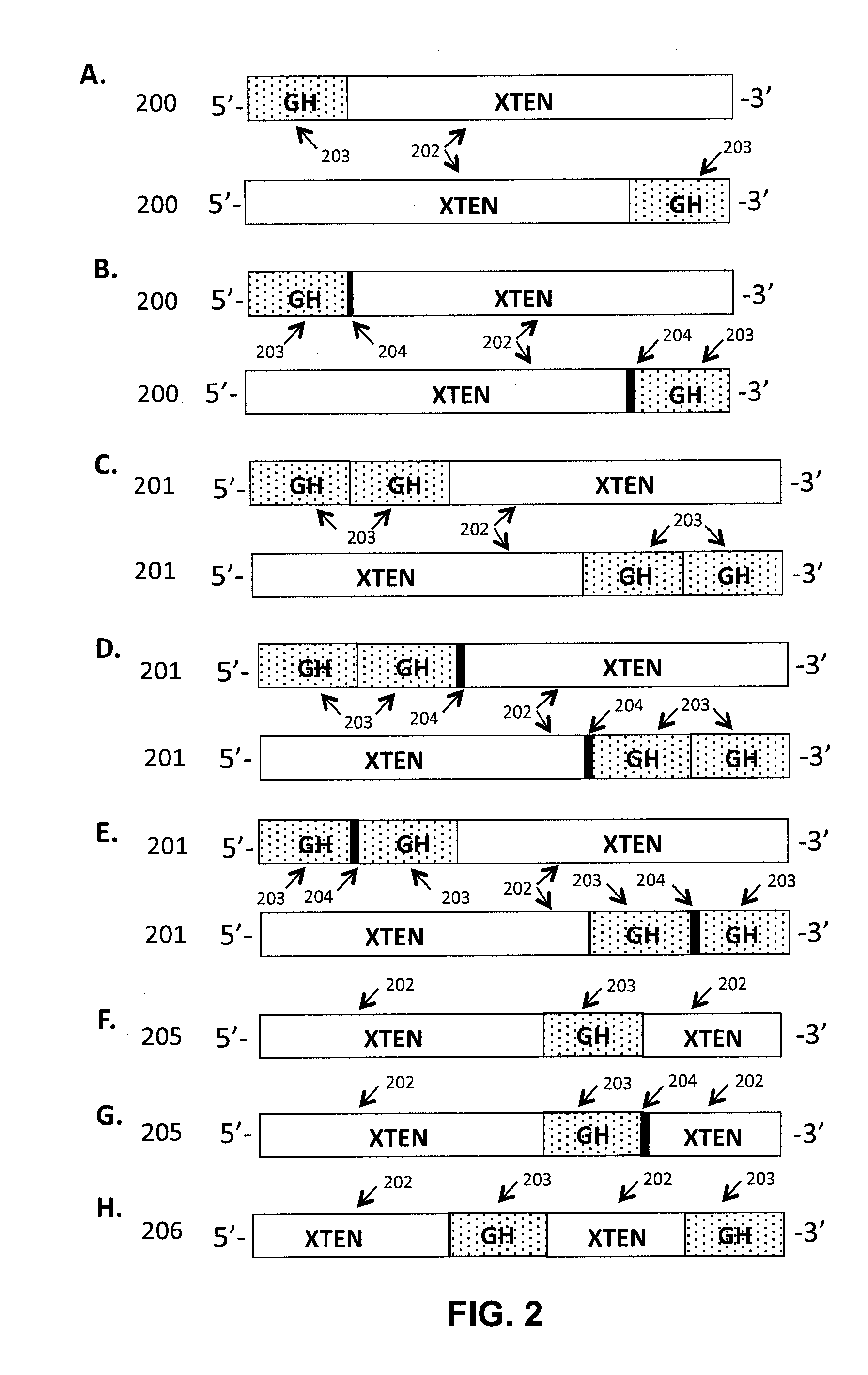 Growth hormone polypeptides and methods of making and using same