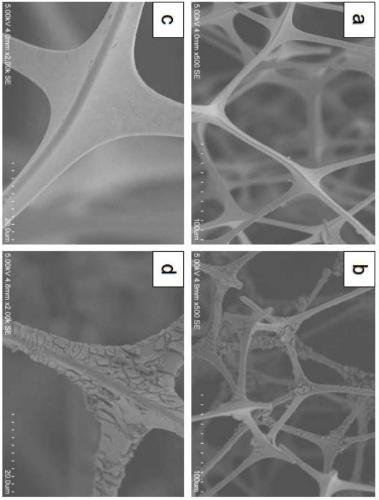 Super-hydrophobic three-dimensional porous material and preparation method thereof