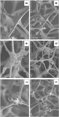 Super-hydrophobic three-dimensional porous material and preparation method thereof