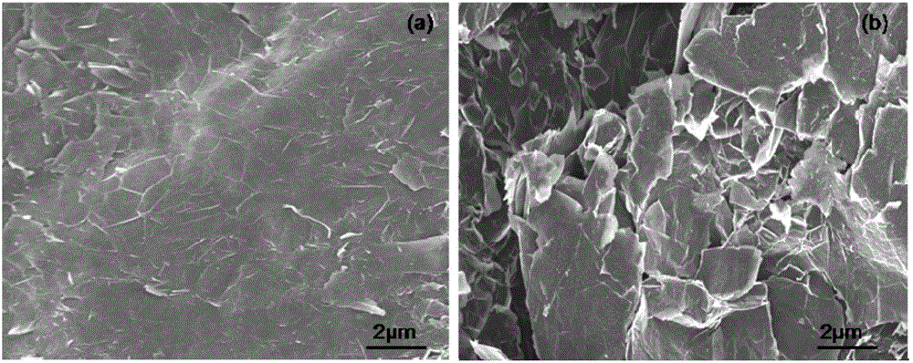 Electrode and preparation method thereof, biosensor and enzyme biofuel cell