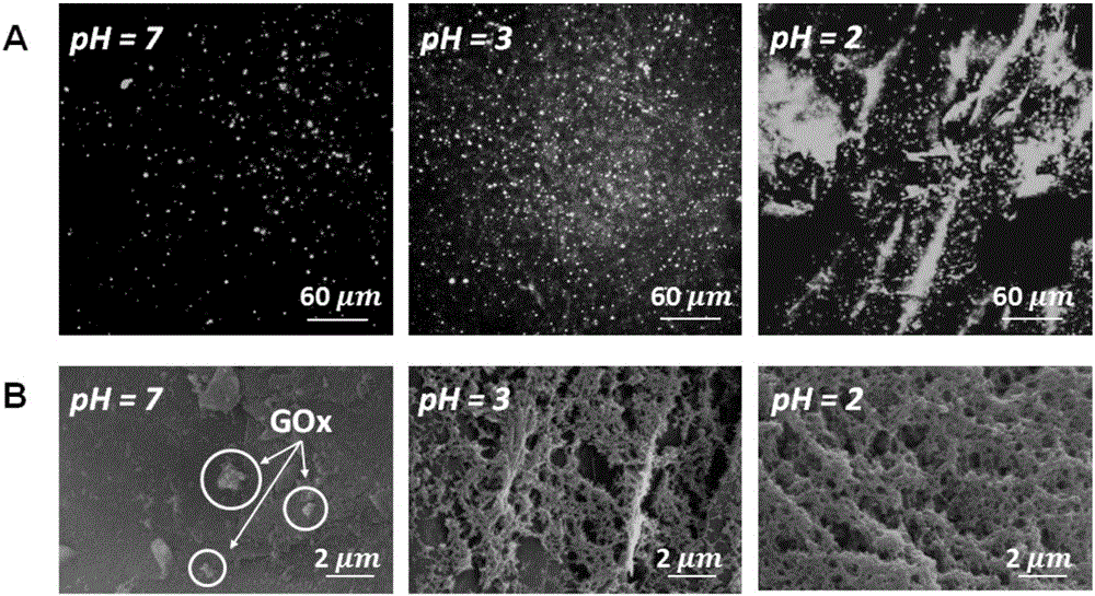 Electrode and preparation method thereof, biosensor and enzyme biofuel cell