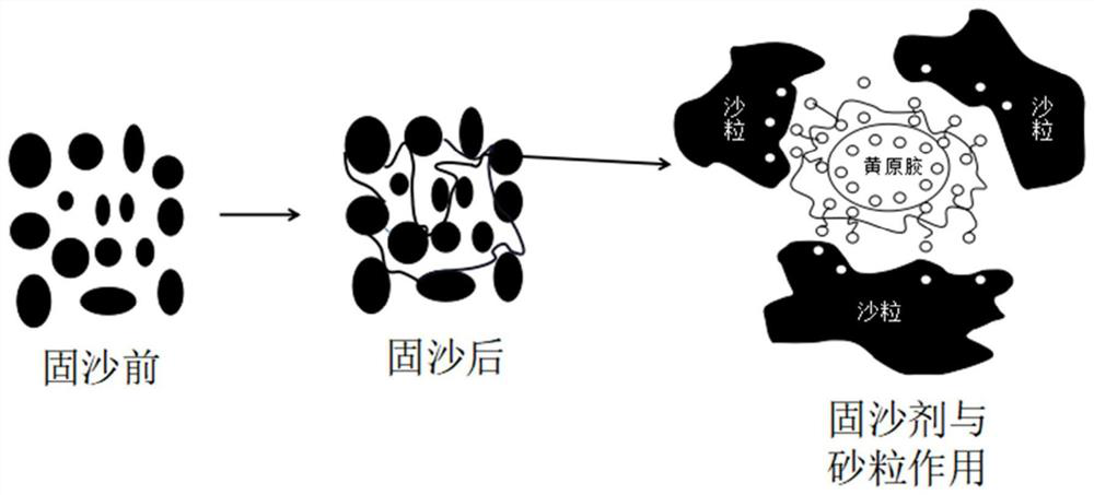 Sand solidification agent prepared from xanthan gum in fracturing flow-back fluid of oil and gas field as well as preparation method and application of sand solidification agent