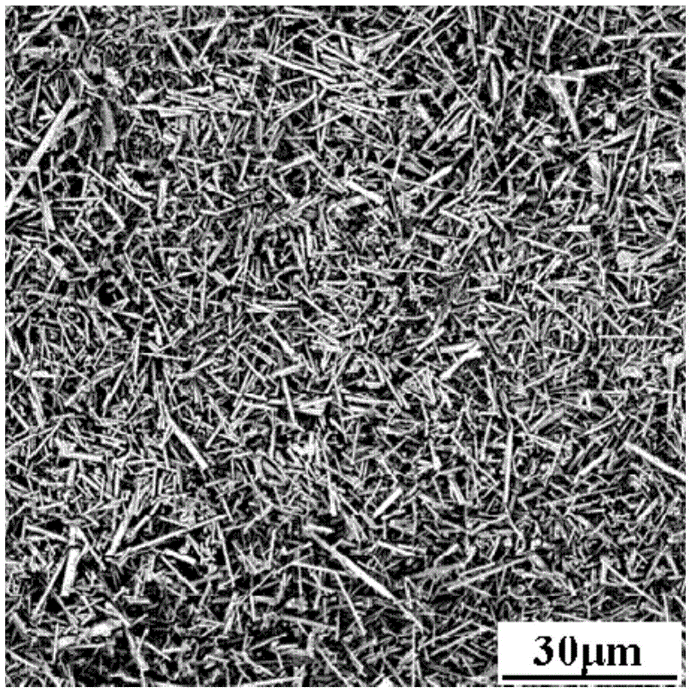 Strontium barium niobate series photo-catalyst normal-temperature degradation hydrocarbon compound