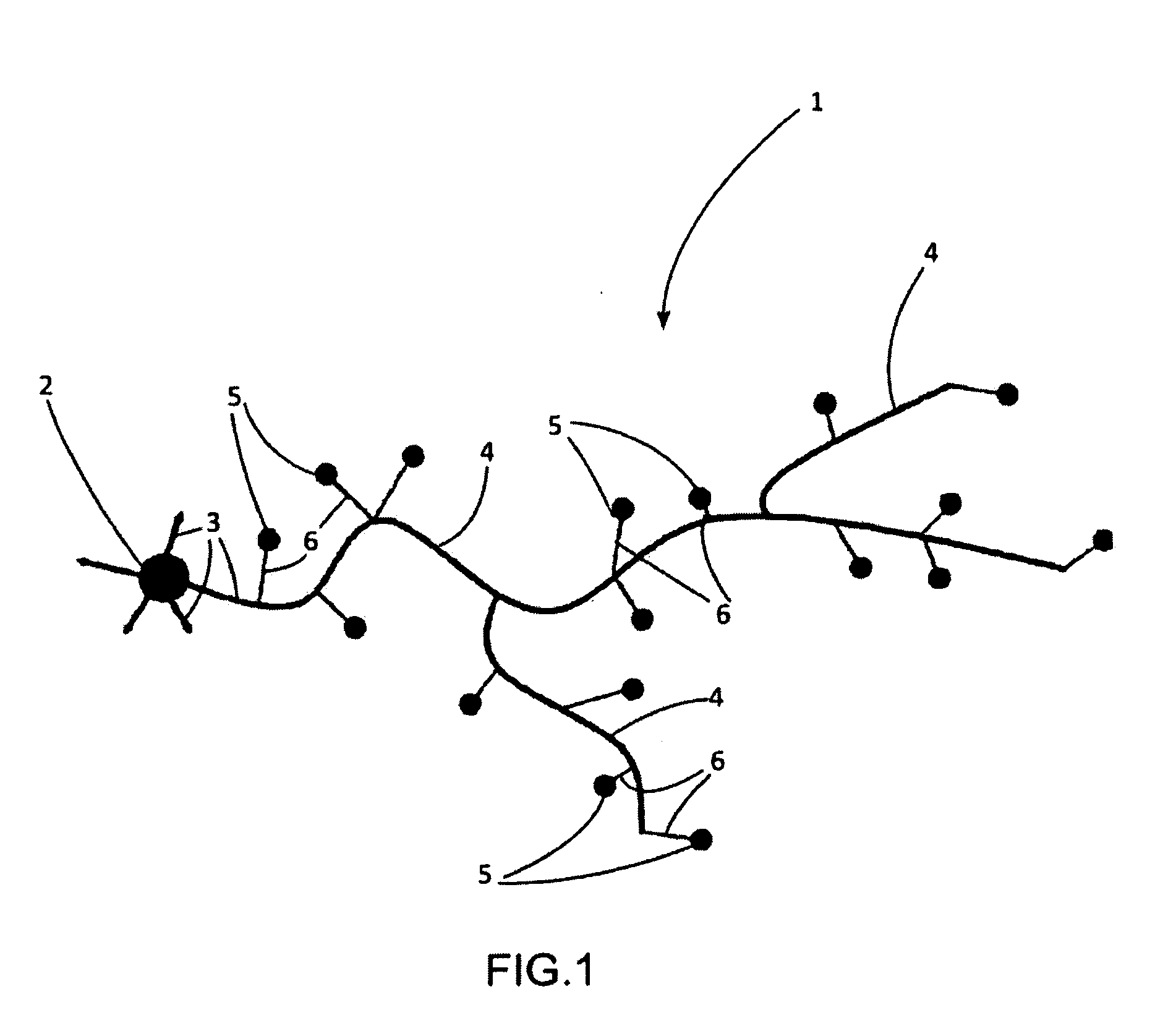 Process and device to determine a structure of an electric power distribution network