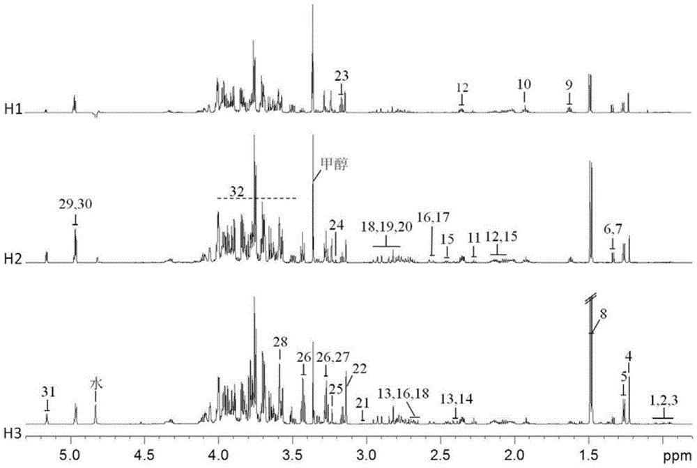 Identification method for porphyra haitanensis in different harvesting periods