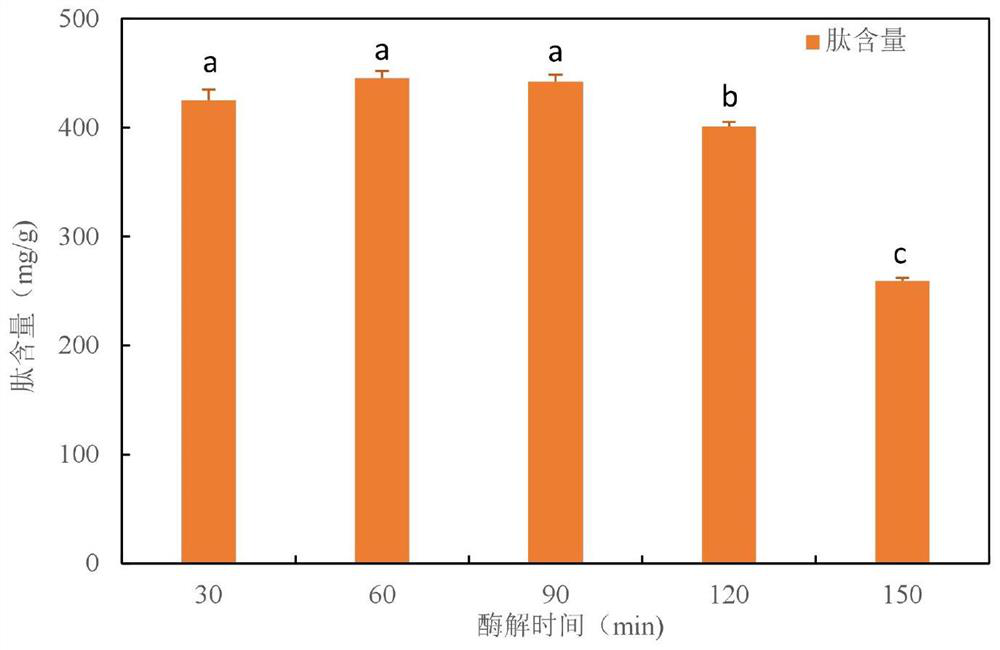 Stropharia rugoso-annulata flavor active peptide base material as well as preparation method and application thereof