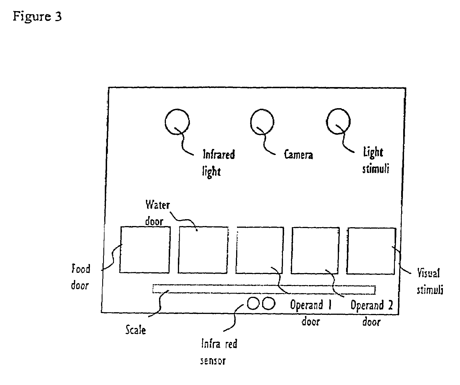 Systems and methods for monitoring behavior informatics