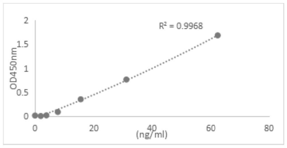 Efficient screening method of paired antibodies