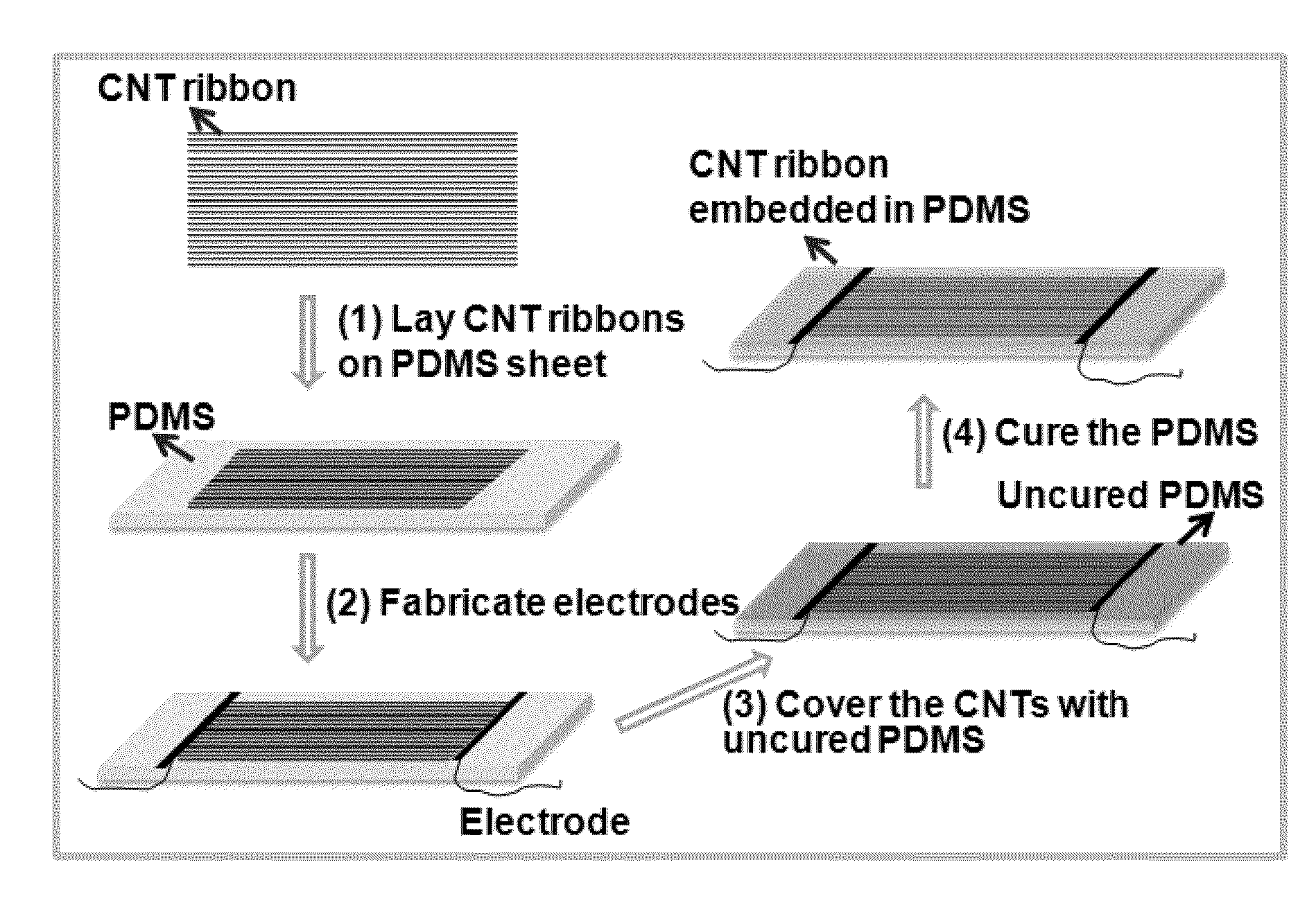 Elastic conductor