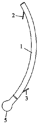 Anti-regurgitation biliary stent