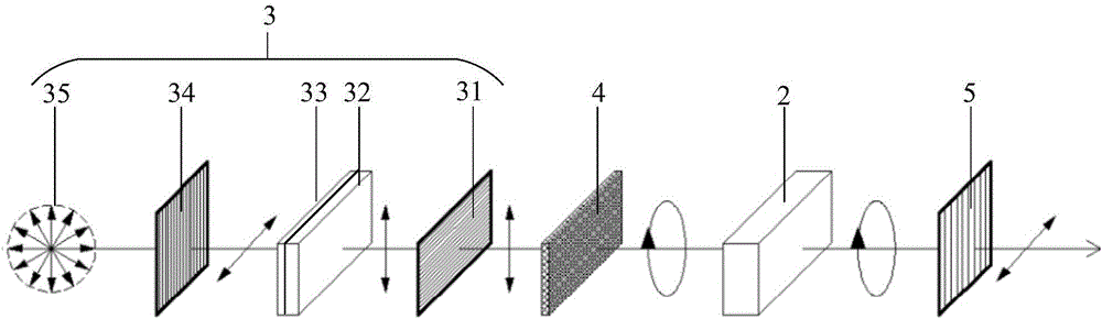 Polarized display device and mobile terminal