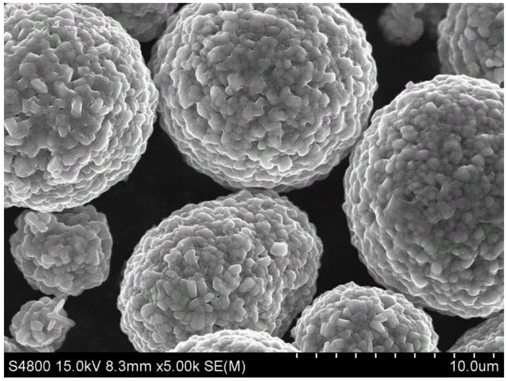 Lithium nickel and cobalt aluminate anode material and preparation method and lithium ion battery thereof