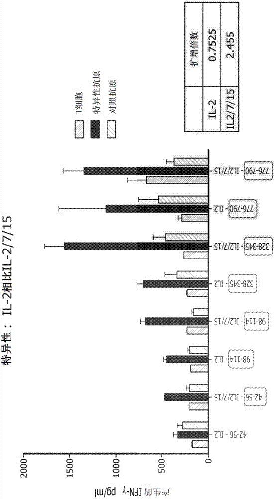 In vitro artificial lymph node method for sensitization and expansion of t cells for therapy and epitope mapping