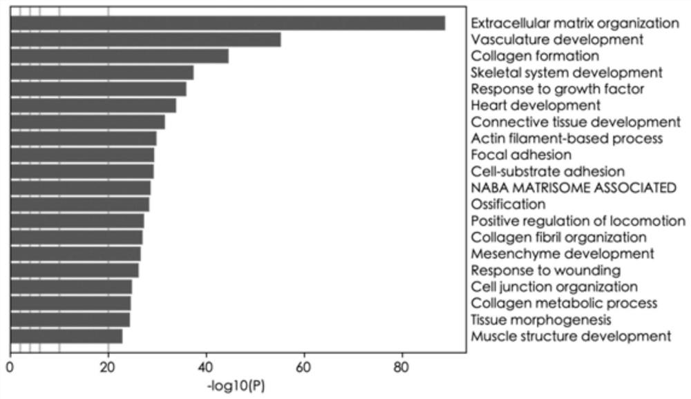 Application of VAV2 in prediction of radiotherapy sensitivity and prognosis of patient