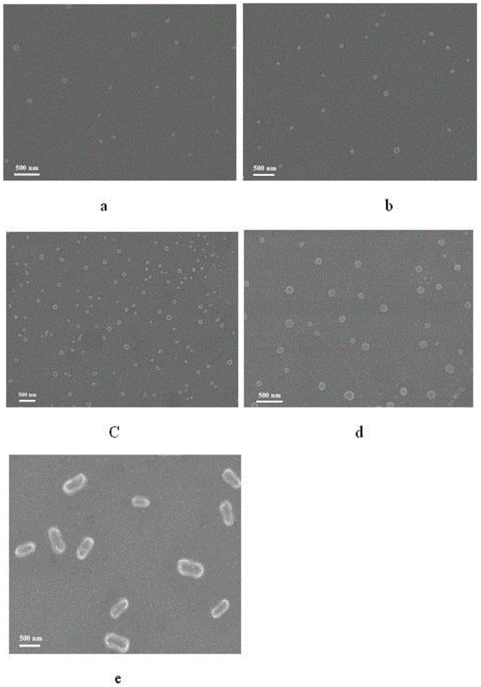 Reductively degradable polyzwitterionic nano-micelle and preparation method thereof