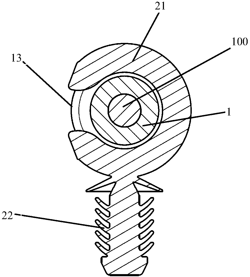 Fastening device used for fixing cable