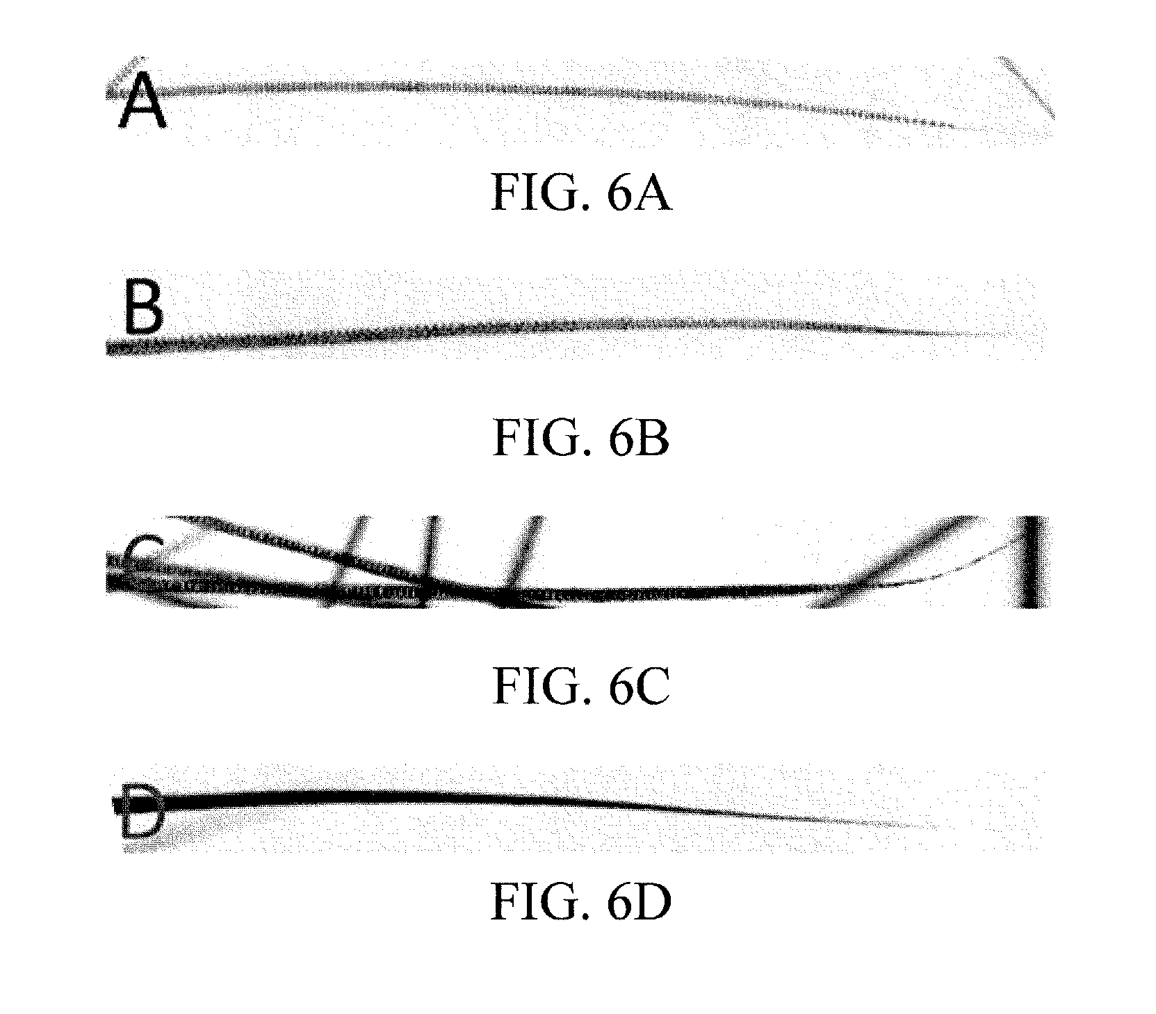 Transgenic animals with cutomizable traits