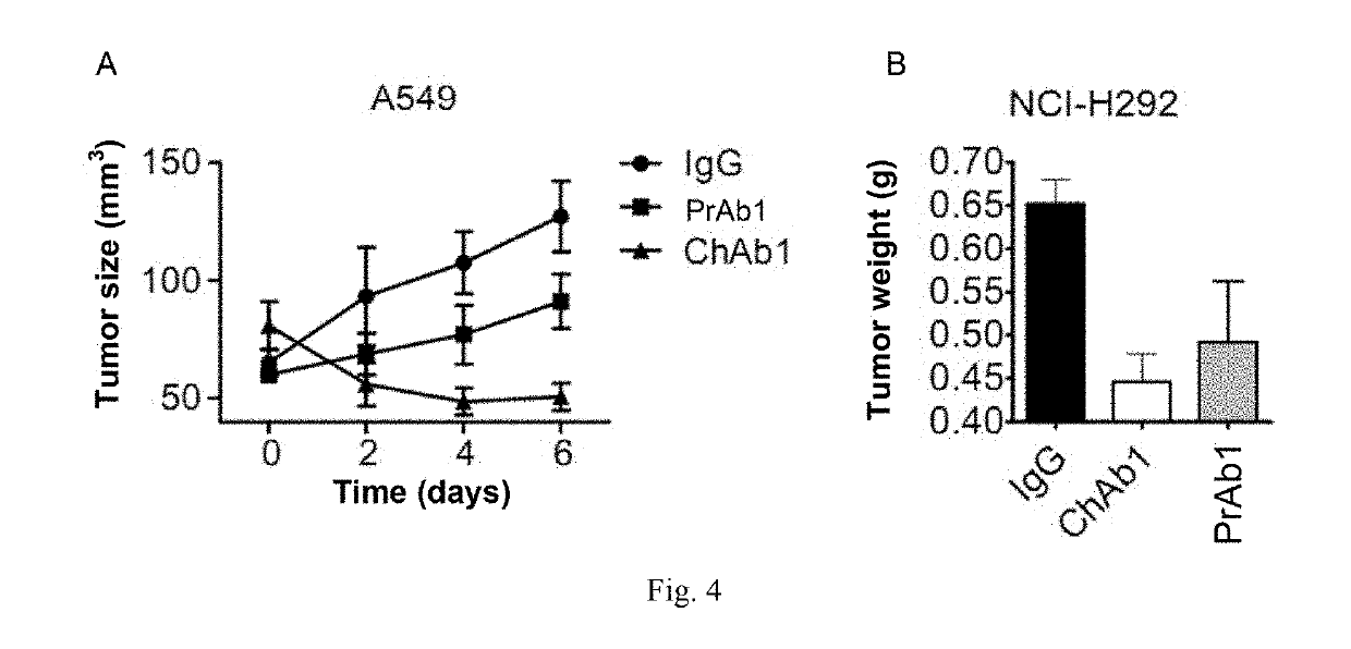 Antibody or antibody fragment capable of binding to lung-specific x protein and use thereof