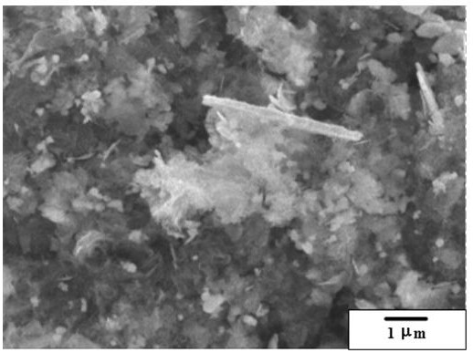 Ternary composite catalytic material for removing tetracycline in wastewater and preparation method of ternary composite catalytic material