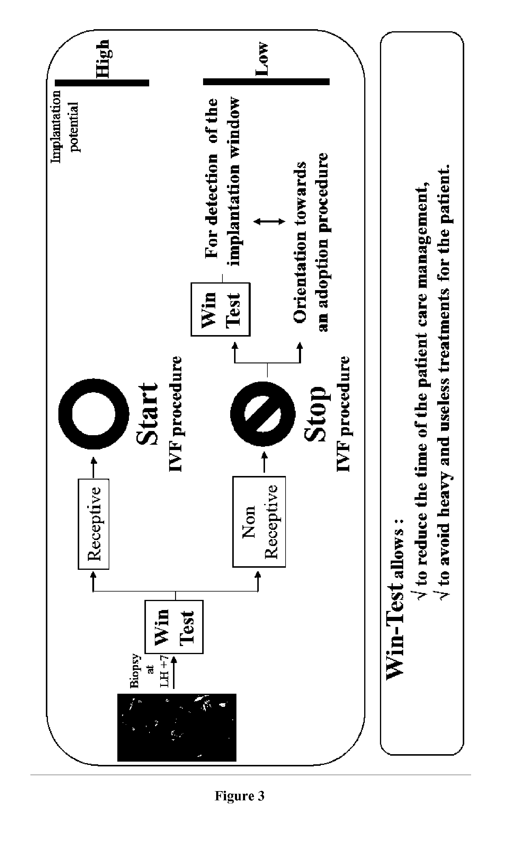 Methods for assessing endometrium receptivity of a patient