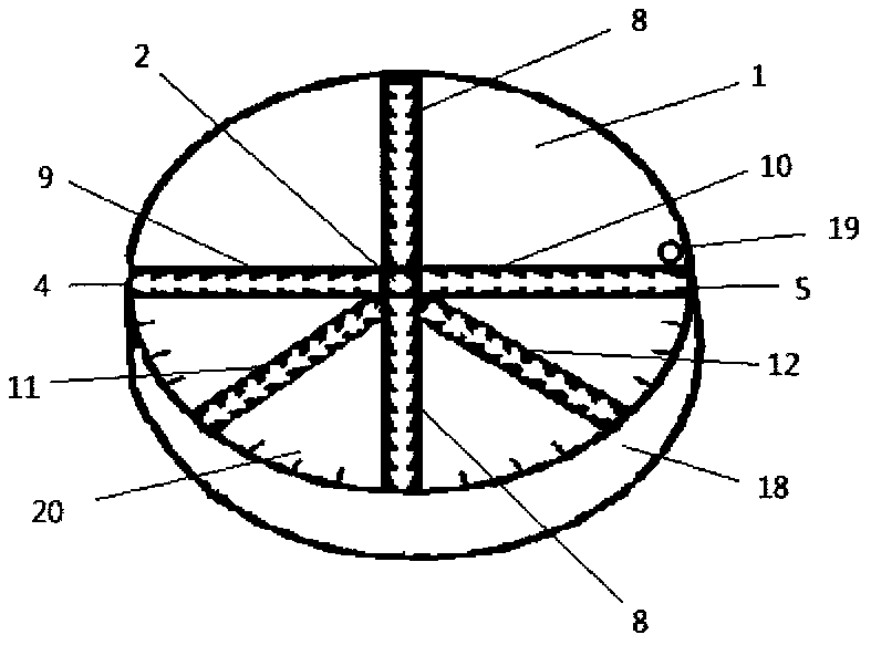 Curve drawing and measuring tool