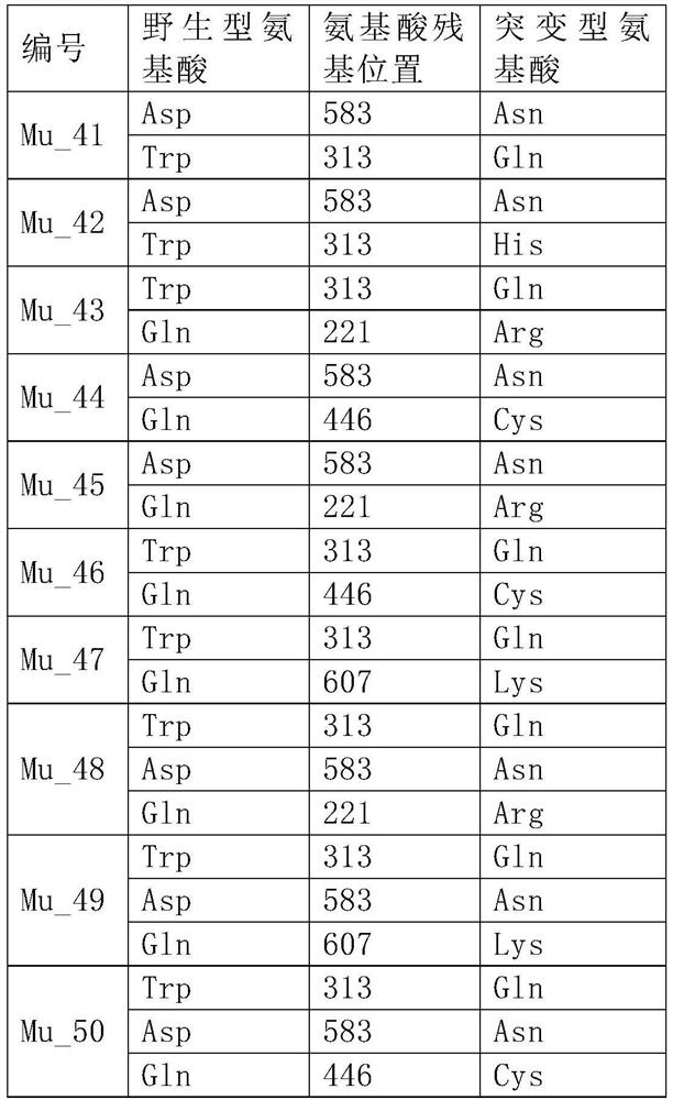 MMLV enzyme combination mutant