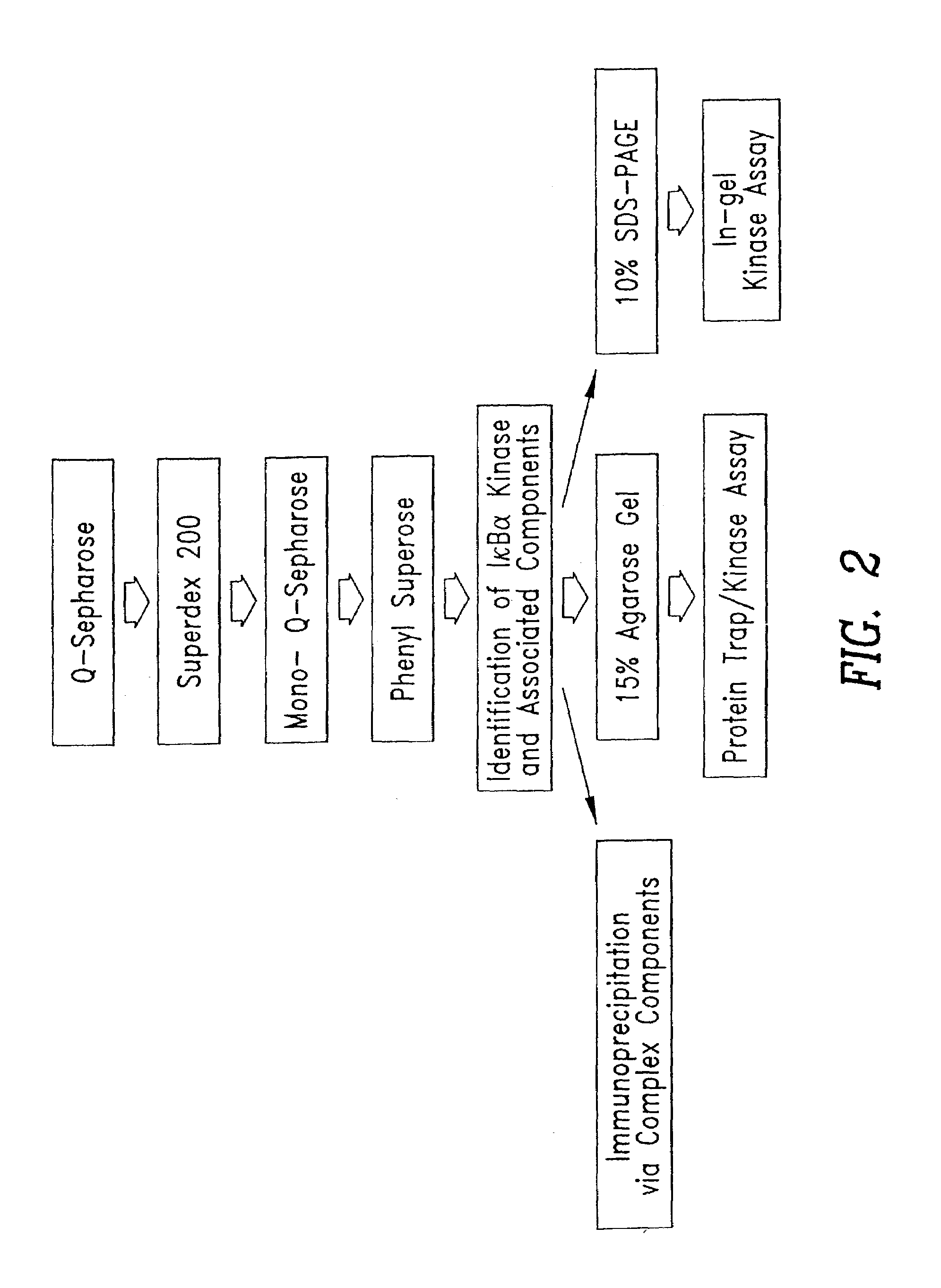 Stimulus-inducible protein kinase complex and methods of use therefor