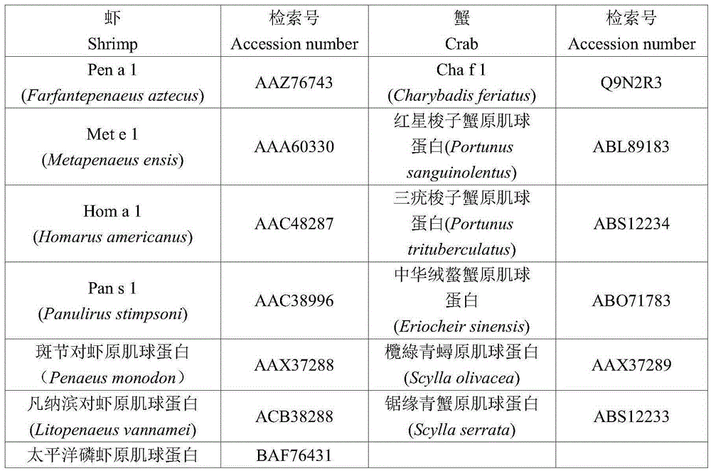 Method for detecting tropomyosin by means of homologous epitope peptide antibody