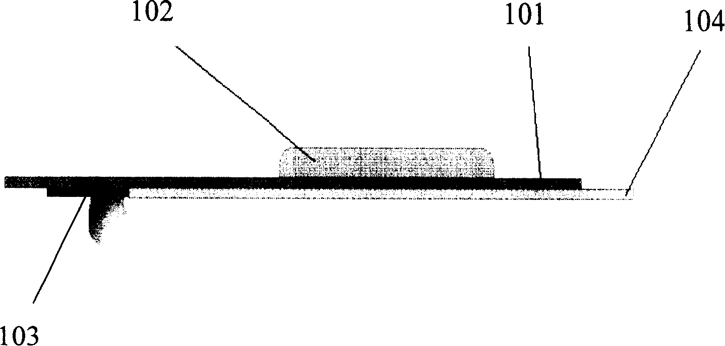 Bio-electrical impedance measuring electrode and apparatus