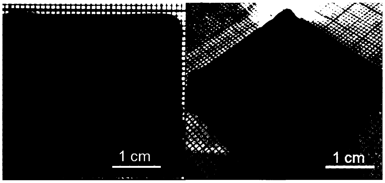 Photothermal drive type shape memory multiscale pore nanocomposite biological scaffold and preparation method thereof