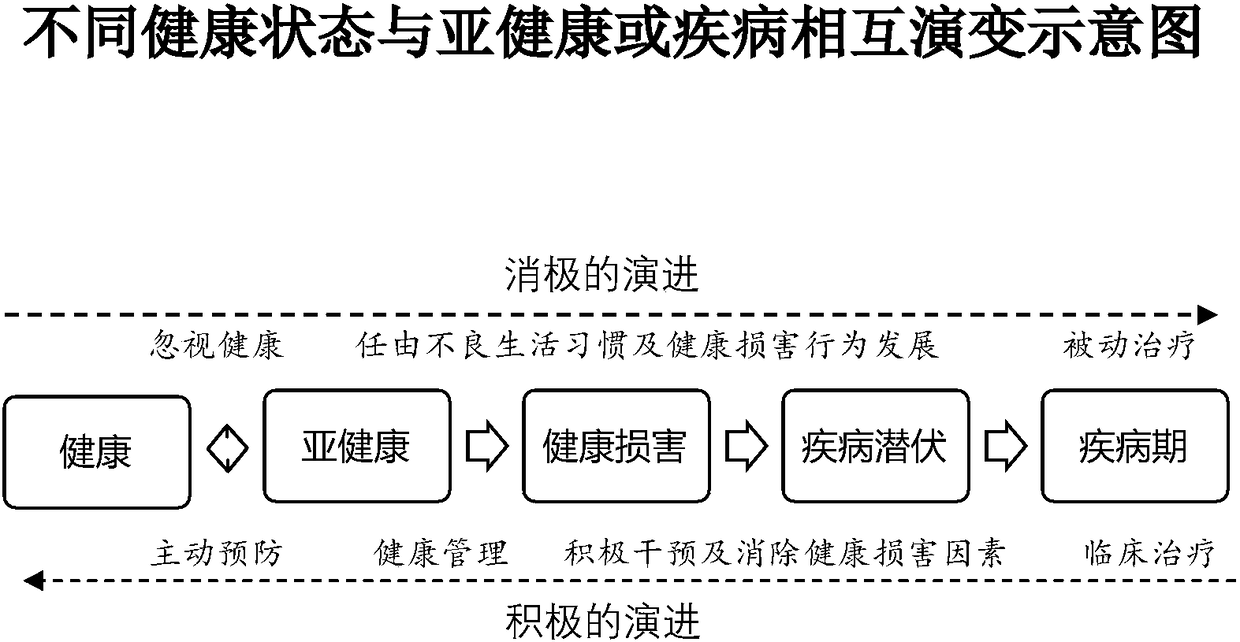 Intelligent health status measuring system and rating method based on Internet platform