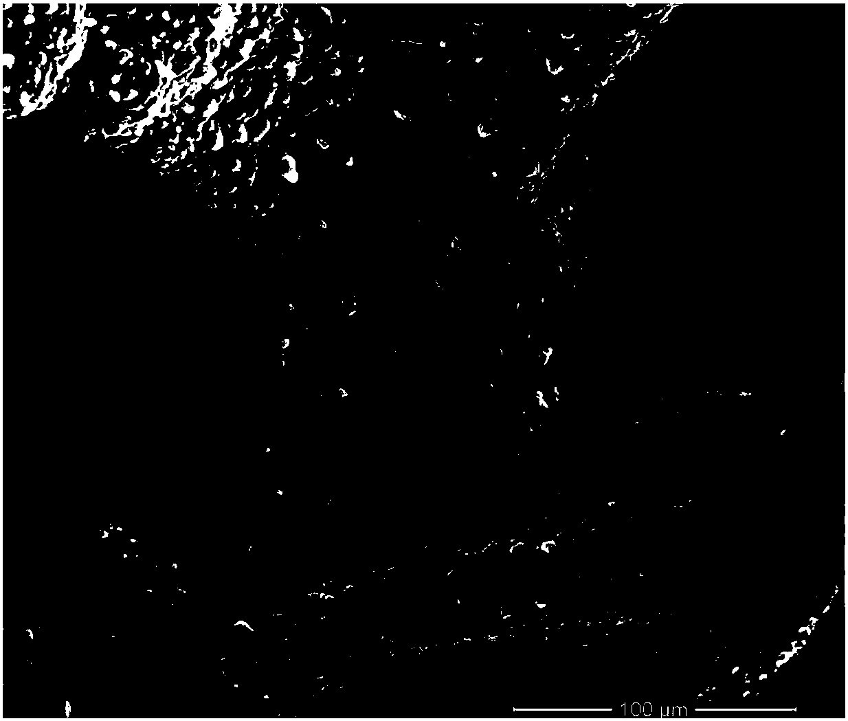 Porous Ni-S/TiO2 composite hydrogen evolution electrode and preparation method thereof