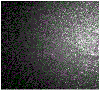 Water-based reinforced type fog sealing layer material for asphalt pavement, and preparation method and construction method of water-based reinforced type fog sealing layer material for asphalt pavement