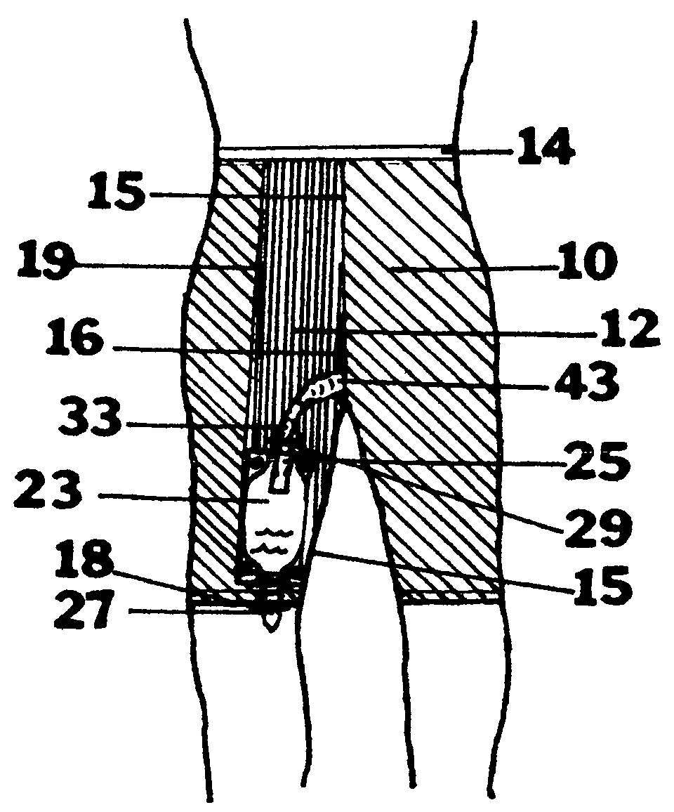 Convenient urology undergarment pant system for urine collection