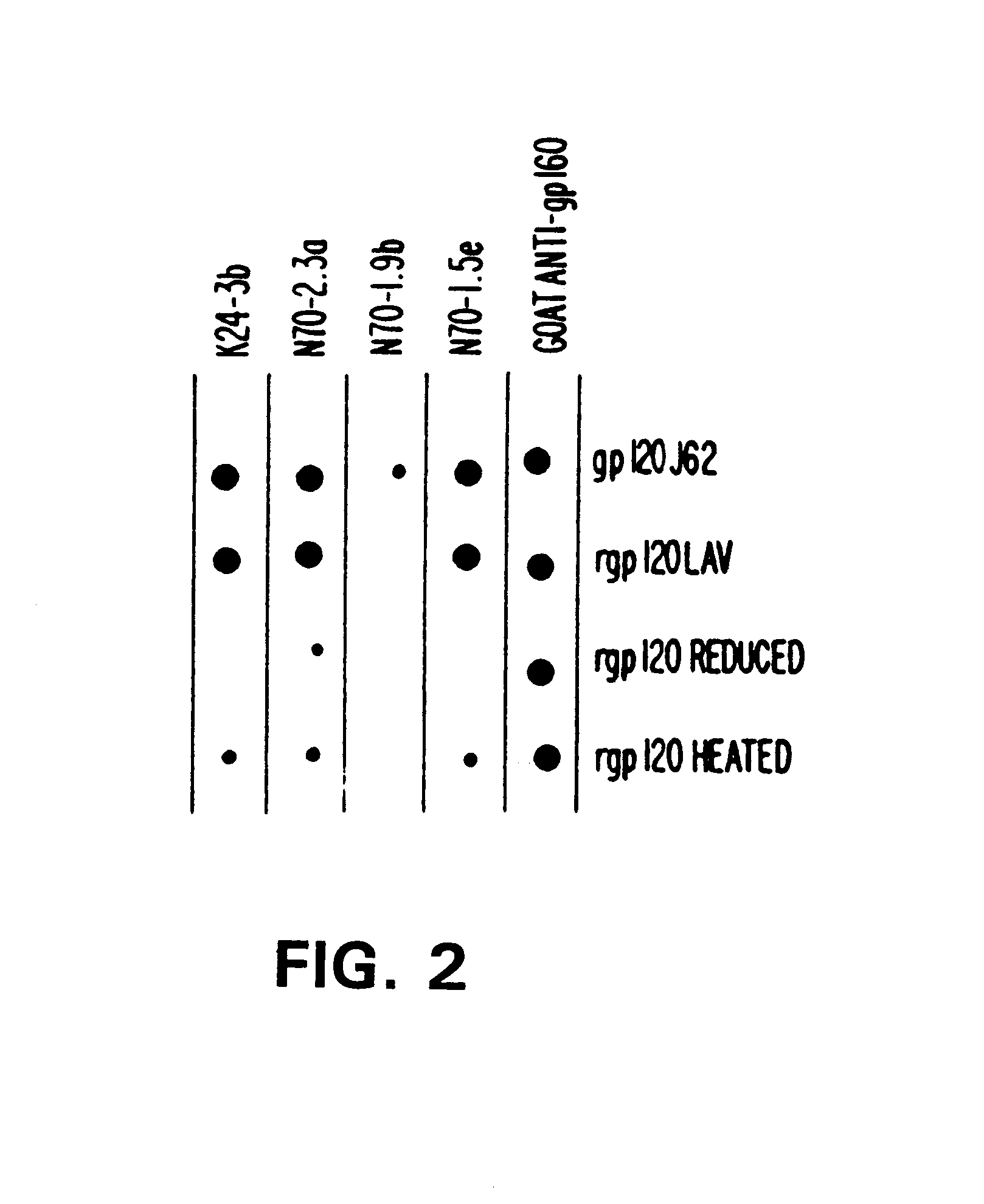 Immunoreagents reactive with a conserved epitope of human immunodeficiency virus type I (HIV-1) gp120 and methods of use