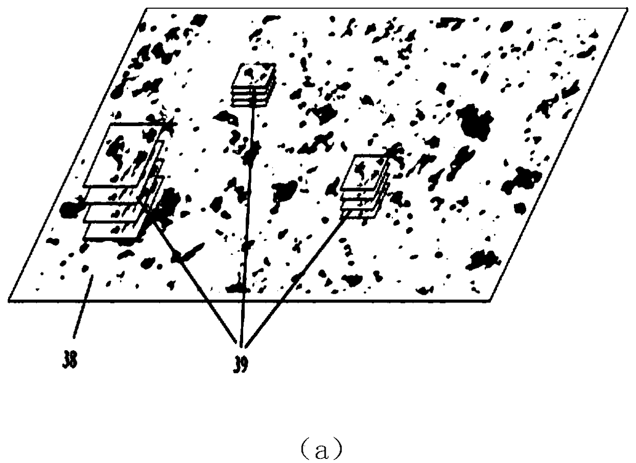 Cytological intelligent auxiliary reading method and system for cervical fluid-based slide