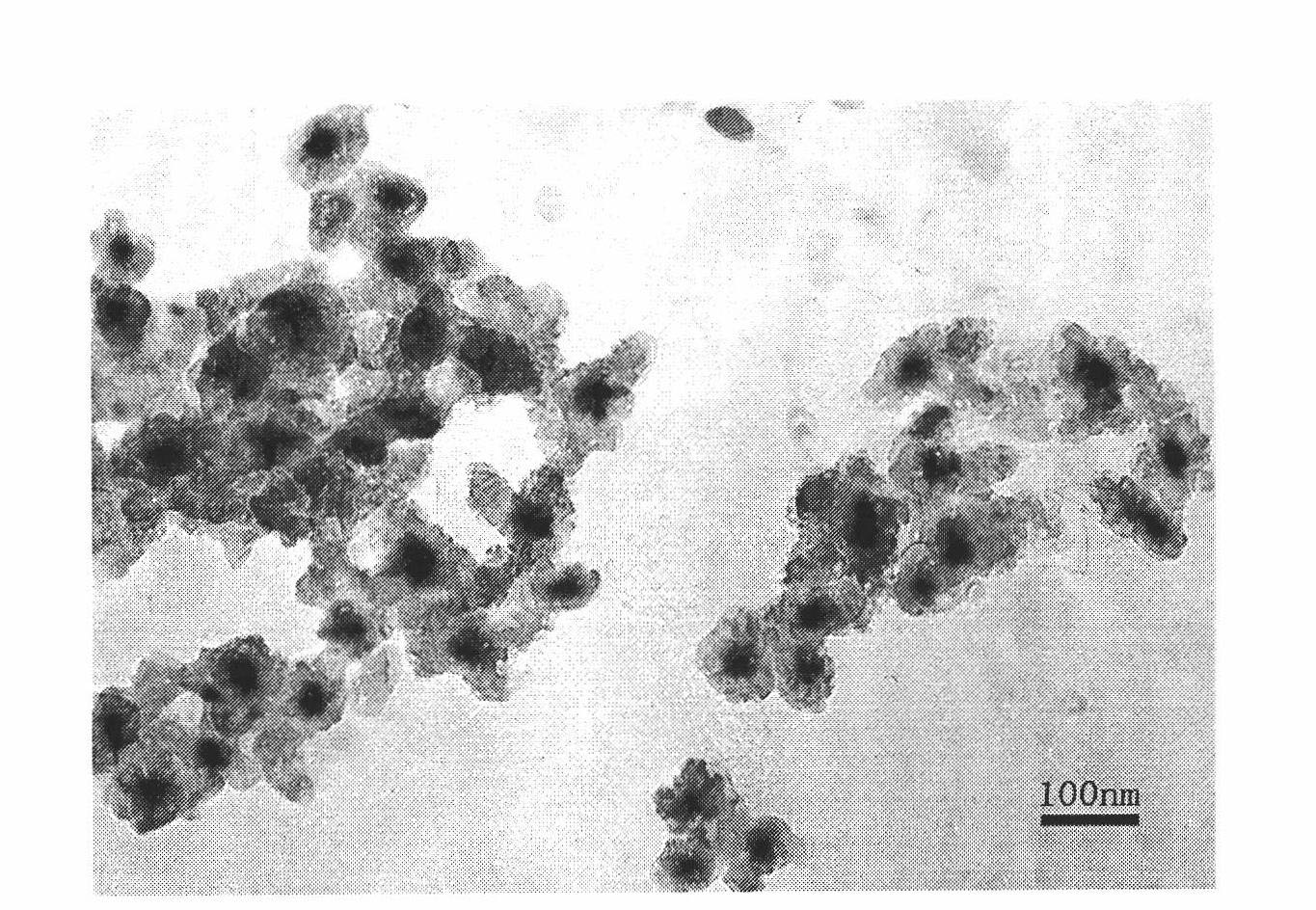 Luminescent and magnetic nano material-based method for detecting carcinoembryonic antigen