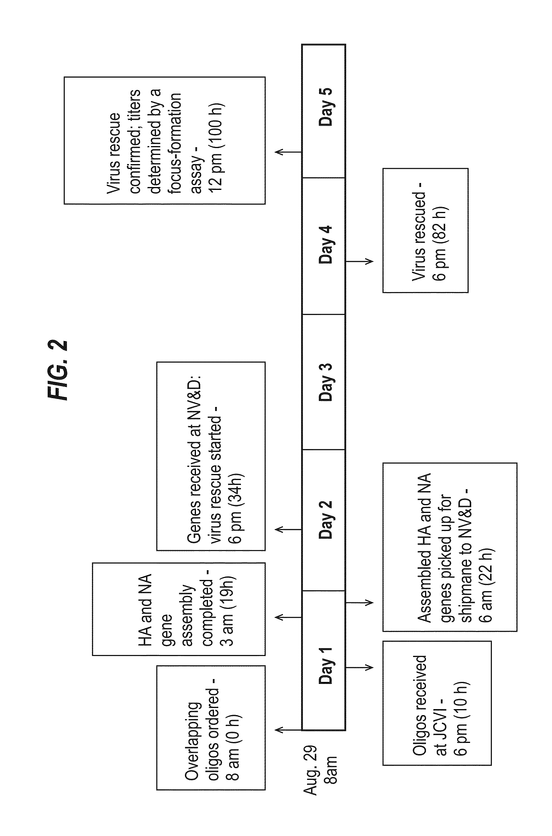 Influenza virus reassortment