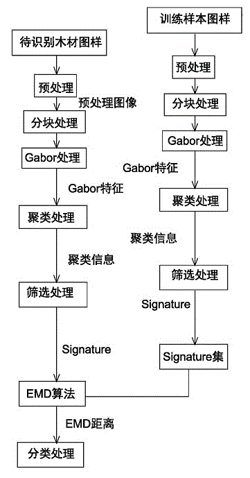 Wood identification method