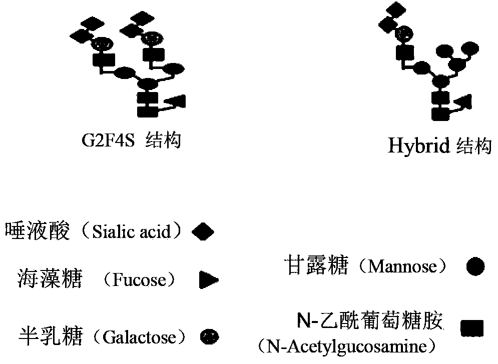 Agkistrodon acutus hemocoagulase-B