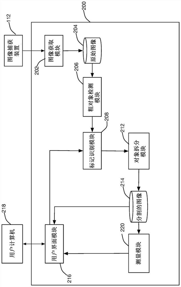 Systems and methods for segmentation of three-dimensional microscope images