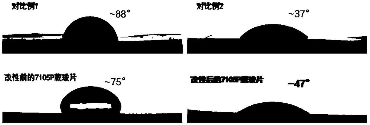 Method for enhancing hydrophilic stability of macromolecular film by using metal ions to complex with polyphenol