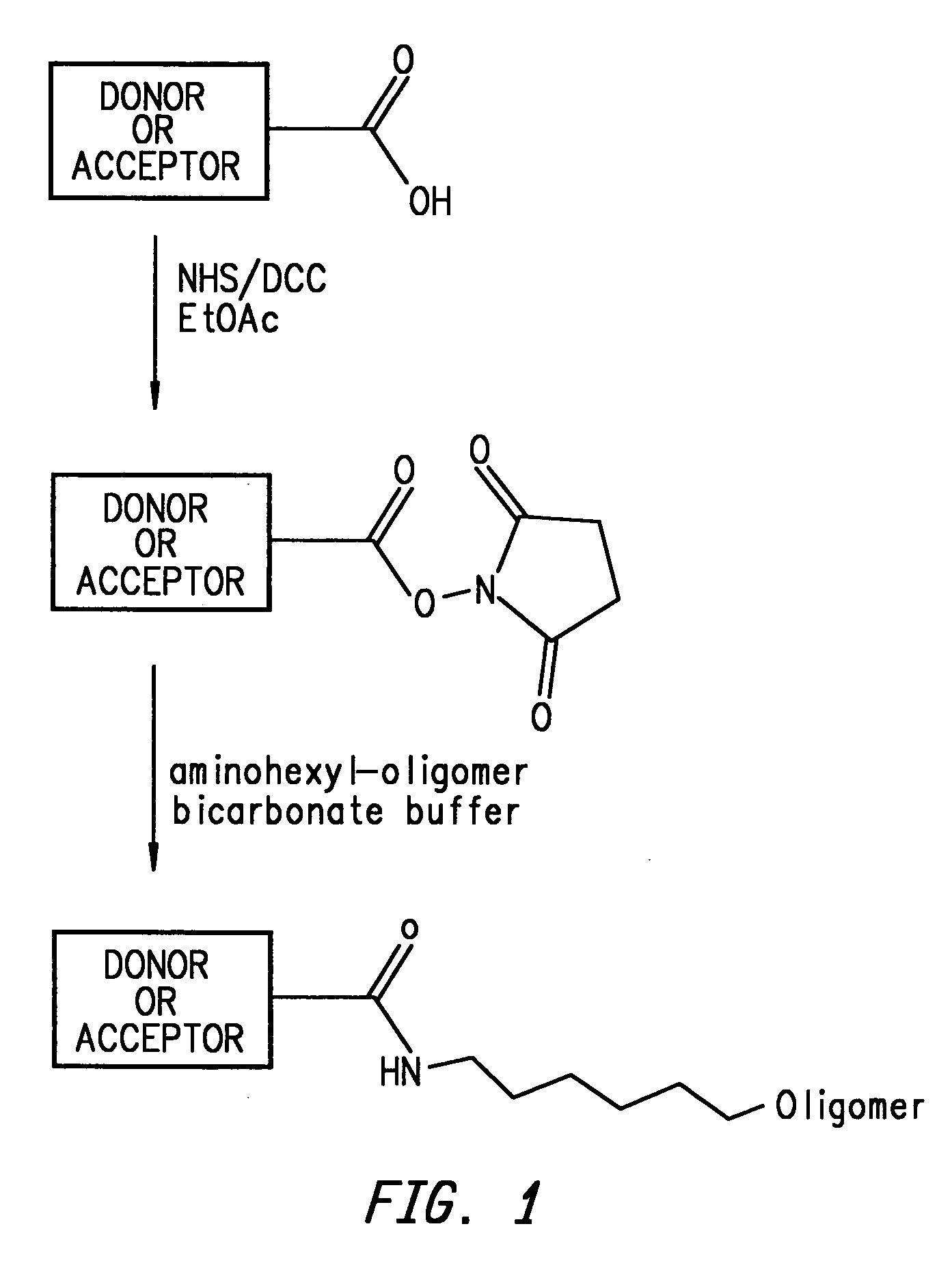 Energy transfer dyes with enhanced fluorescence