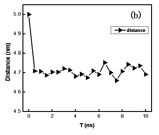 Method for simulating interfacial interaction of aggregation of nanometer matter in water environment through computer